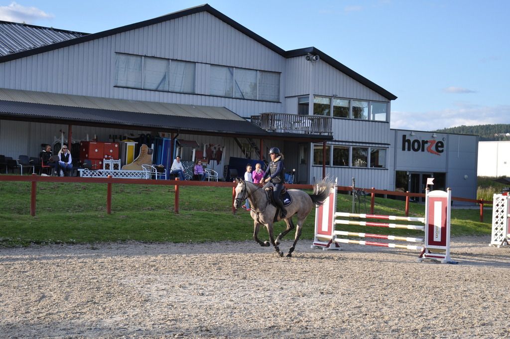 Clinic Stall Hafskjold 2015. Foto: Mina Walen Simensen photo DSC_0108 - Kopi_zpsooea6wvf.jpg
