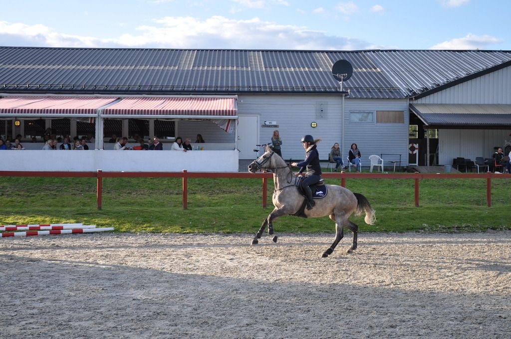 Clinic Stall Hafskjold 2015. Foto: Mina Walen Simensen photo DSC_0111 - Kopi_zpsliqtqnsm.jpg