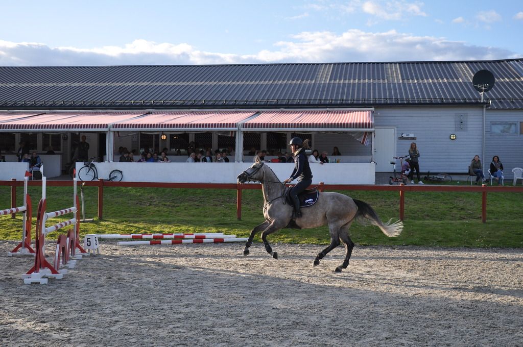 Clinic Stall Hafskjold 2015. Foto: Mina Walen Simensen photo DSC_0112 - Kopi_zpsmxz8h5eg.jpg