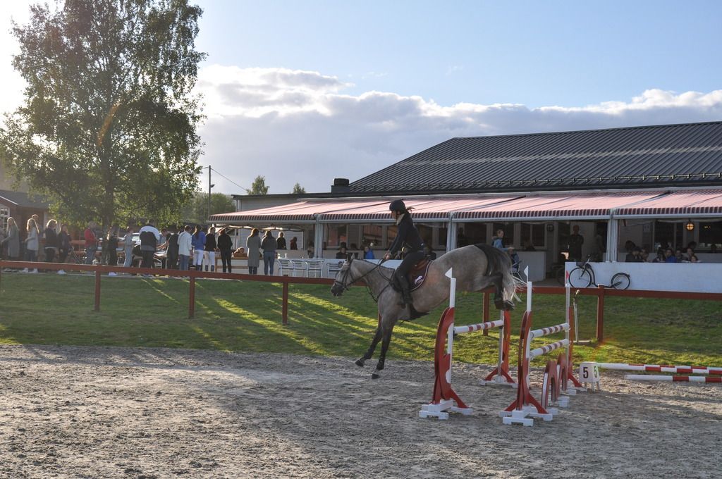 Clinic Stall Hafskjold 2015. Foto: Mina Walen Simensen photo DSC_0114 - Kopi_zpsimusel7e.jpg