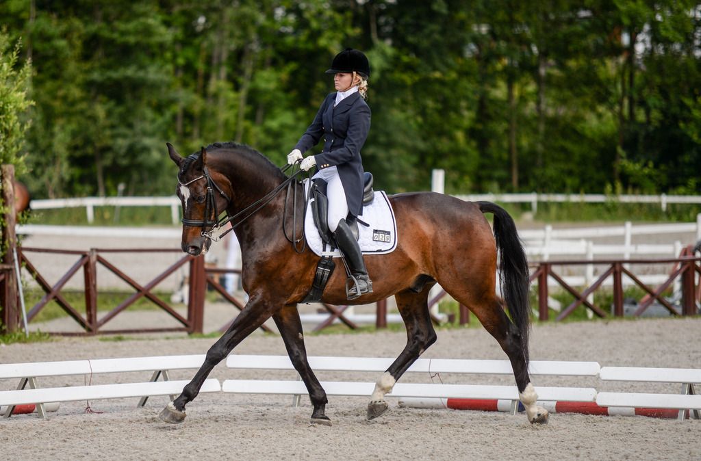  photo DSC_5467_zpso73sm4eo.jpg