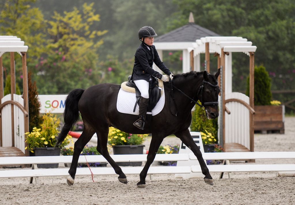 Sommerstevne i dressur Arendal 2015 Foto: Aina Ludvigsen photo DSC_6512_zpszt5fzsjx.jpg