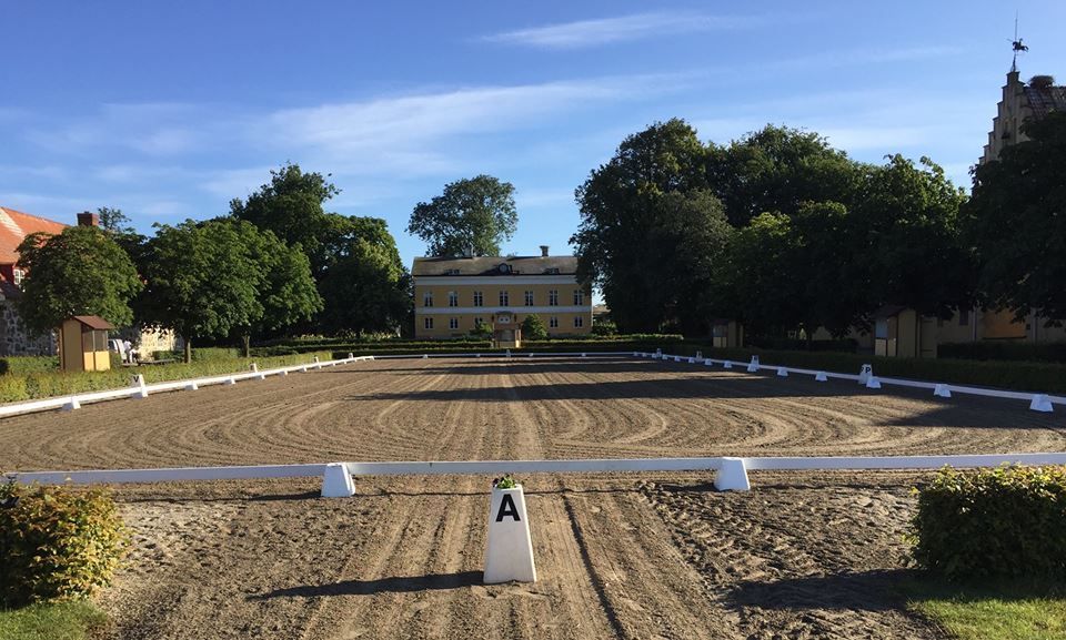  photo Flyinge_zpsd7hcjco6.jpg