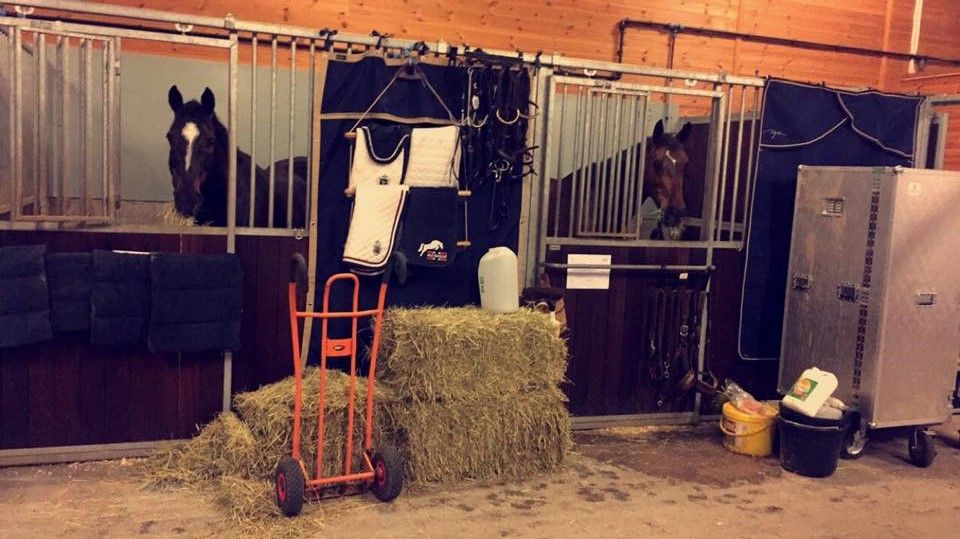 Baltic Cup 2015 Kristiansand photo HESTER_zpsuckoszun.jpg