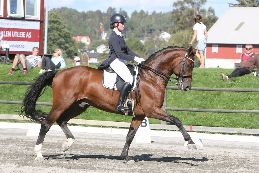 Talentprogram NRYF Helena Liholt Gulli photo Helena Liholt Gulli_zpszjrar5sv.jpg