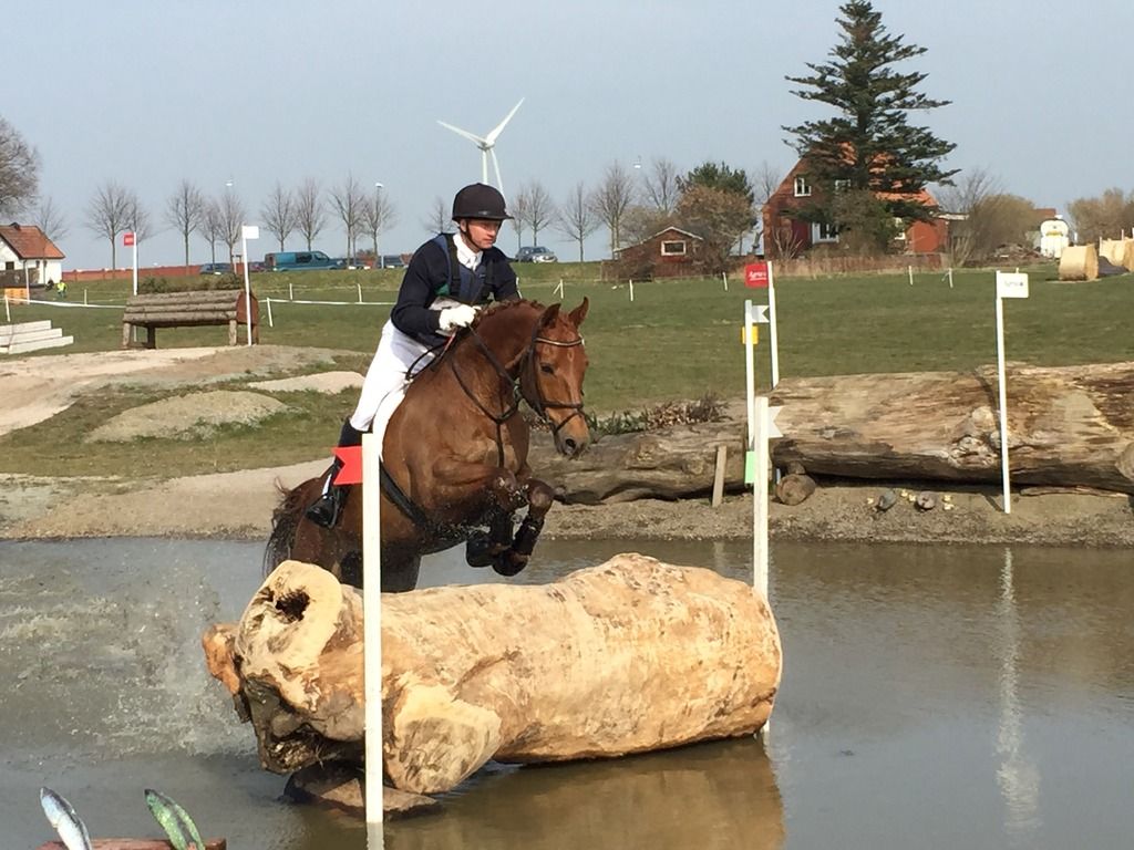  photo IMG_0364 1_zpstaj36ver.jpg