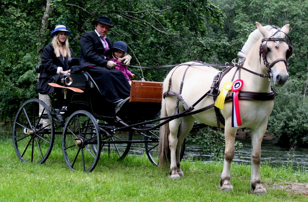 NM fjordhest 2016 photo IMG_1484-A_Harald_zpskzkxpomw.jpg