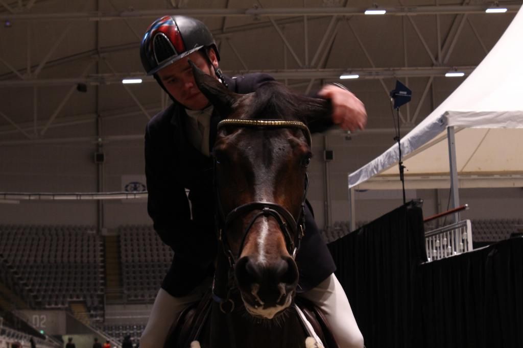 Oslo Horse Show photo IMG_6923_zpsd79bad7b.jpg