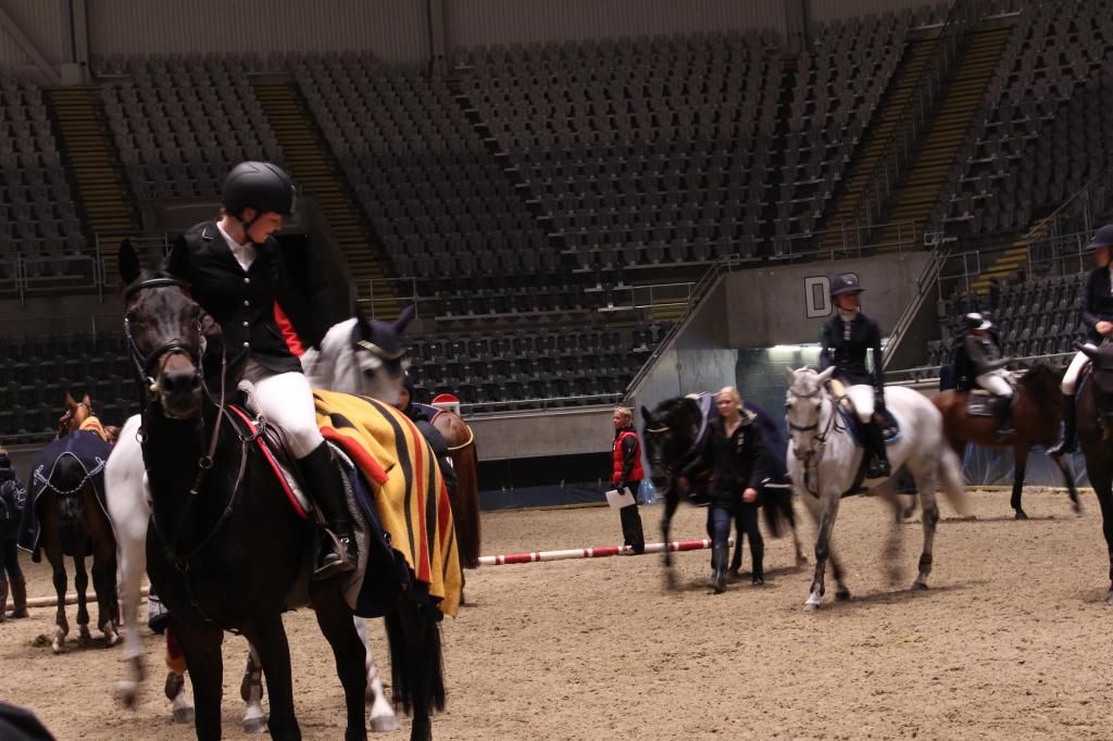 Oslo Horse Show photo IMG_6978_zpsbd096038.jpg