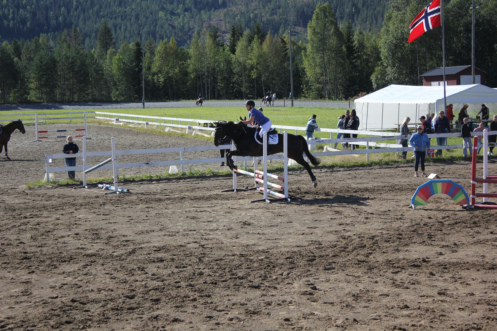  photo IMG_7744_zpscytgdeen.jpg