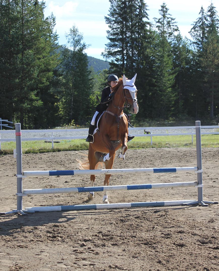 KORK photo IMG_7759_zpsotbsgj1r.jpg