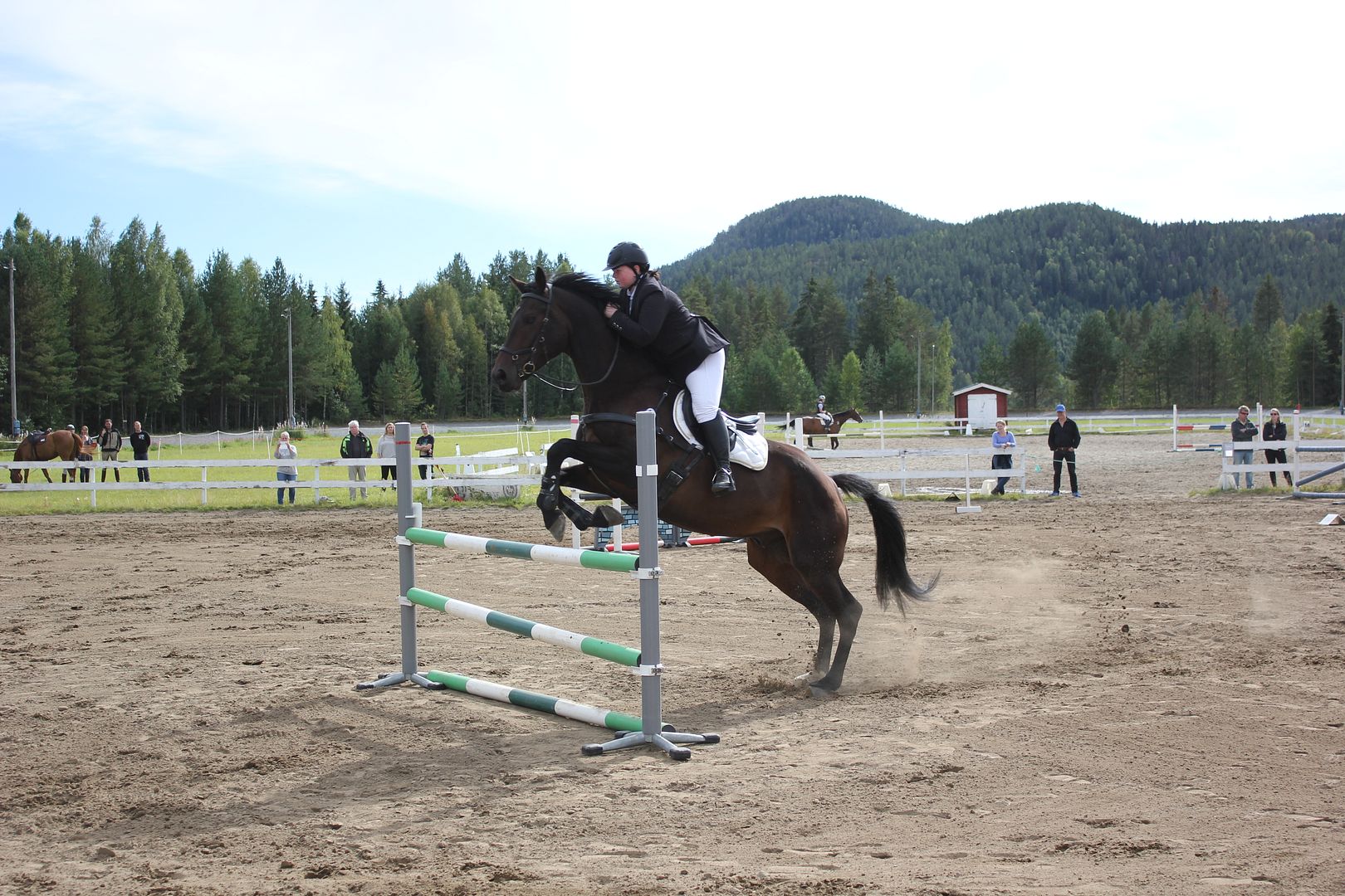  photo IMG_7776_zpssw8ndjrp.jpg