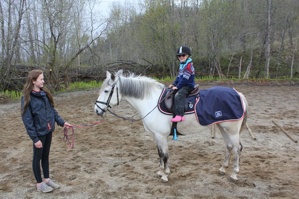  photo IMG_9143_zpszyzjwtga.jpg