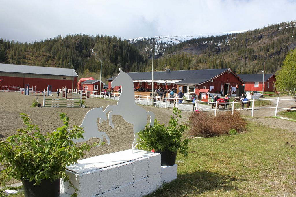  photo IMG_9154_zpsj814innk.jpg