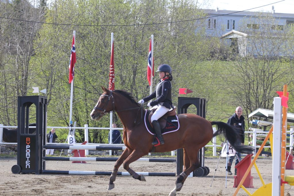  photo IMG_9222_zpsmfl7m7po.jpg