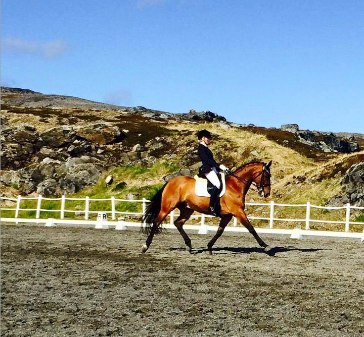 Johanne Liland og Scirocco av Bæklikkeskov photo Johanne_Liland_og_Scirocco_av_Baeligkkeskov_zpstfkhezcb.png