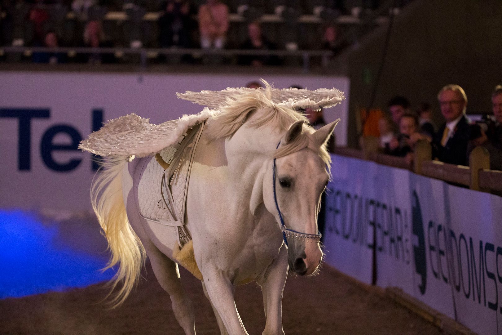  photo Jubileumsshow_74J2278_zpsoxtx4emn.jpg