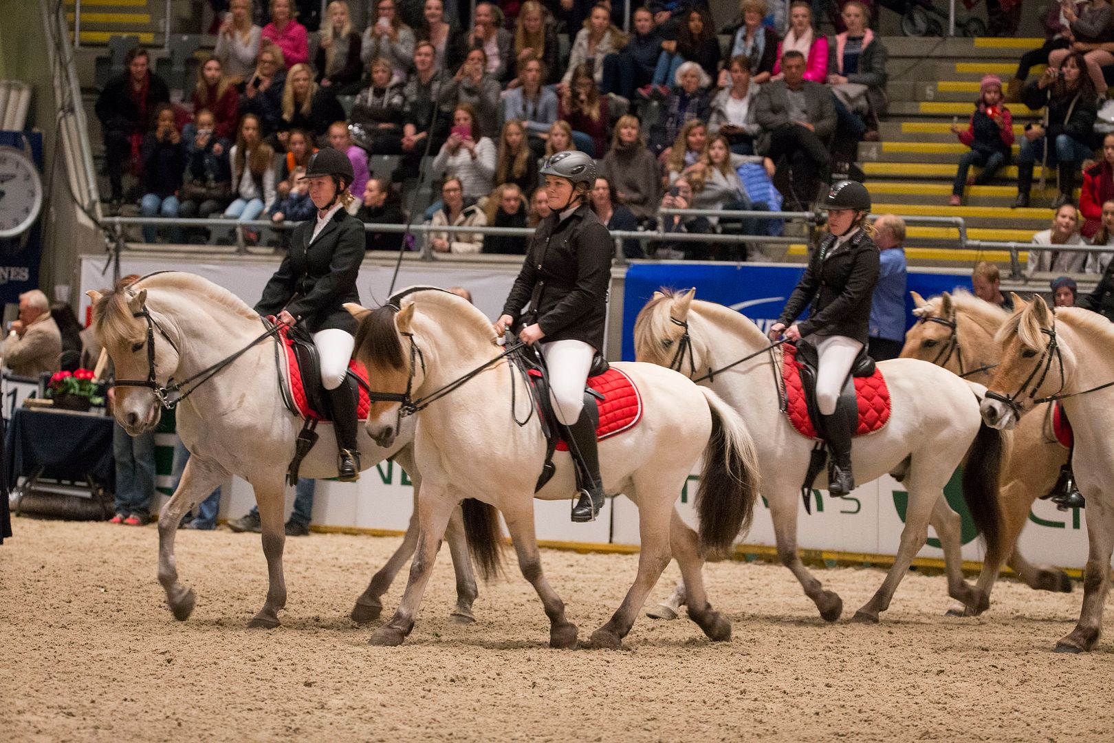  photo Jubileumsshow_74J2280_zpsfuzkuw1d.jpg