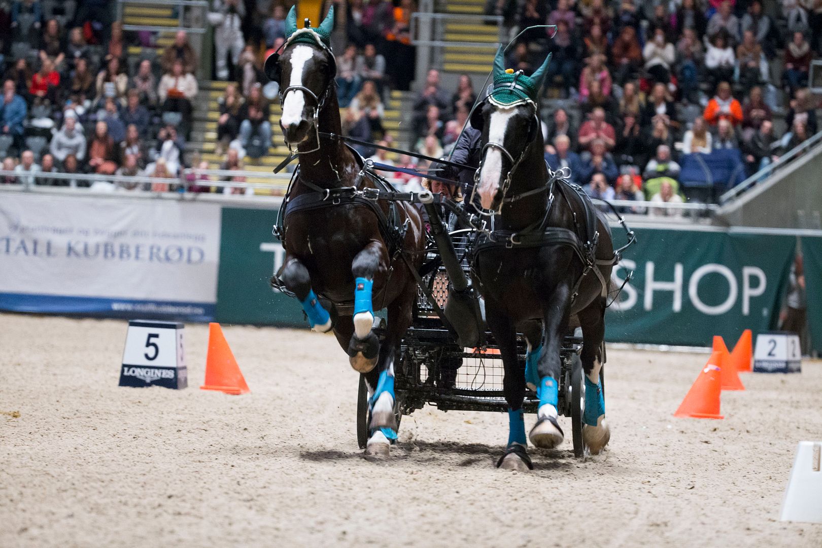 photo Jubileumsshow_74J2476_zpshqdqwh2a.jpg