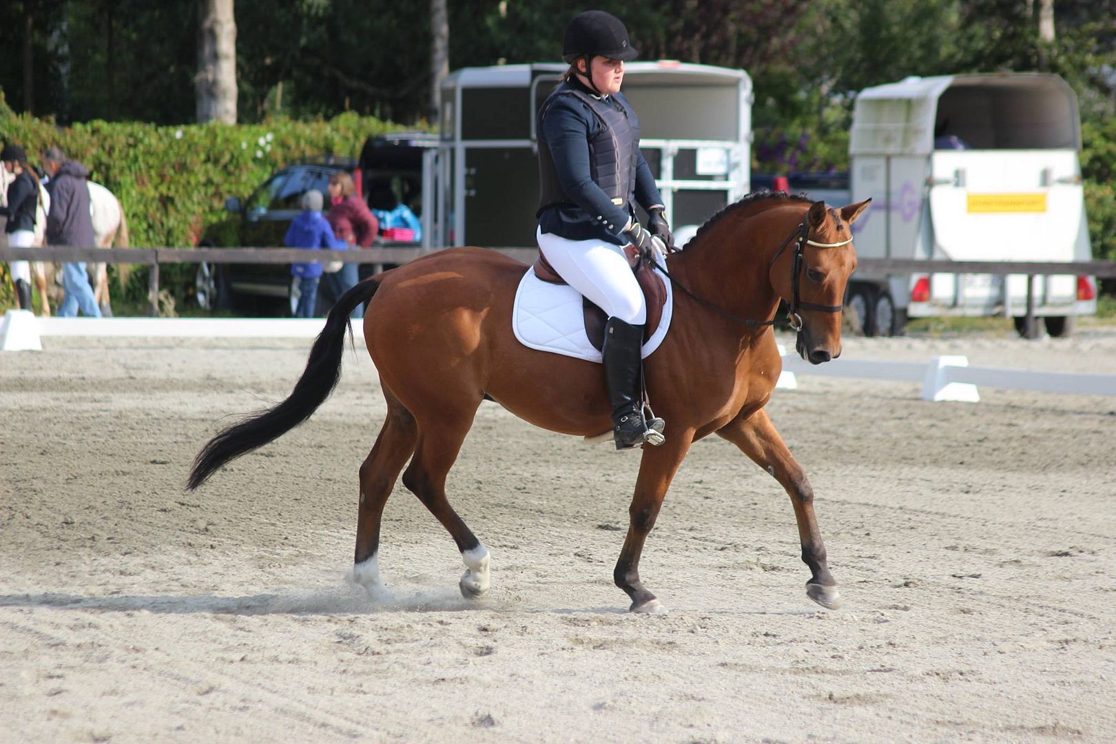 June Svendsen photo June Svendsen_zpslrtkq1z2.jpg