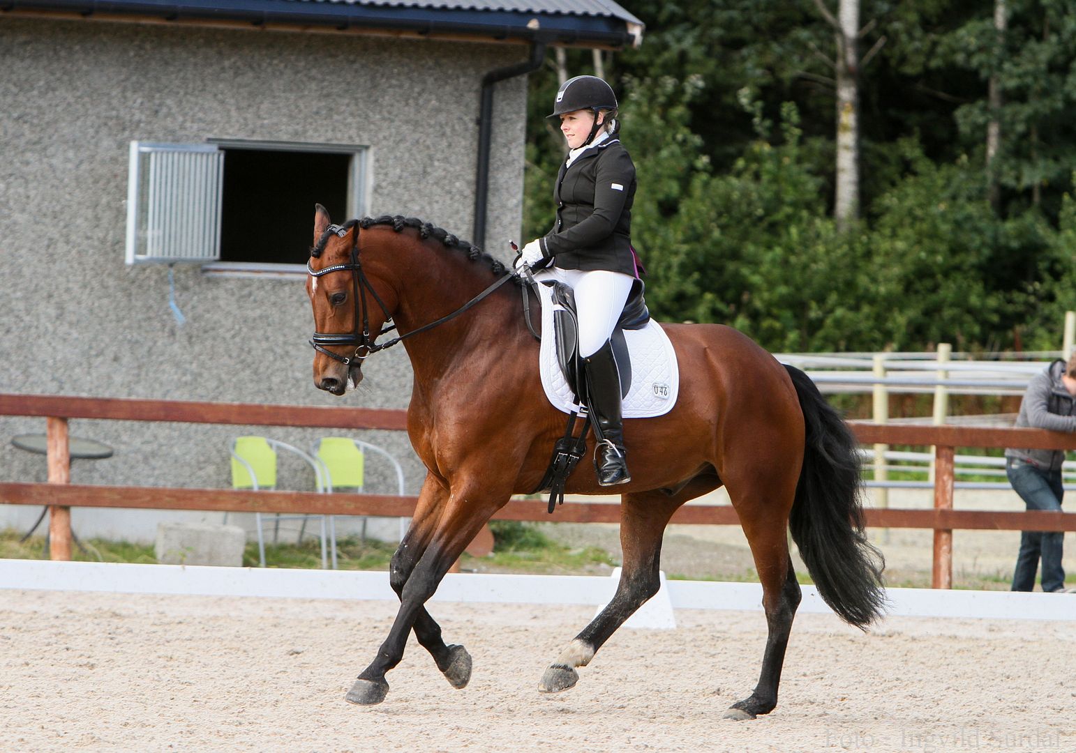 photo LM LA 2.plass_zps758jummm.jpg