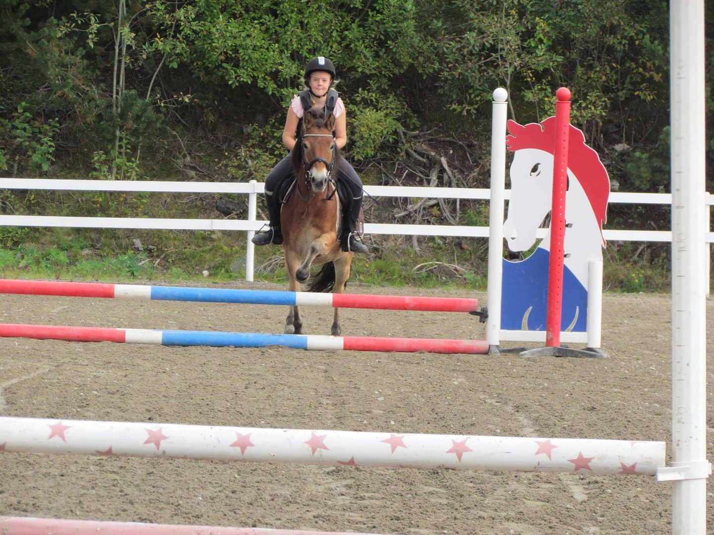 Mari Hjellset og Daisy i 40cm photo Mari Hjellset og Daisy i 40cm_zpsl5qgapq1.jpg