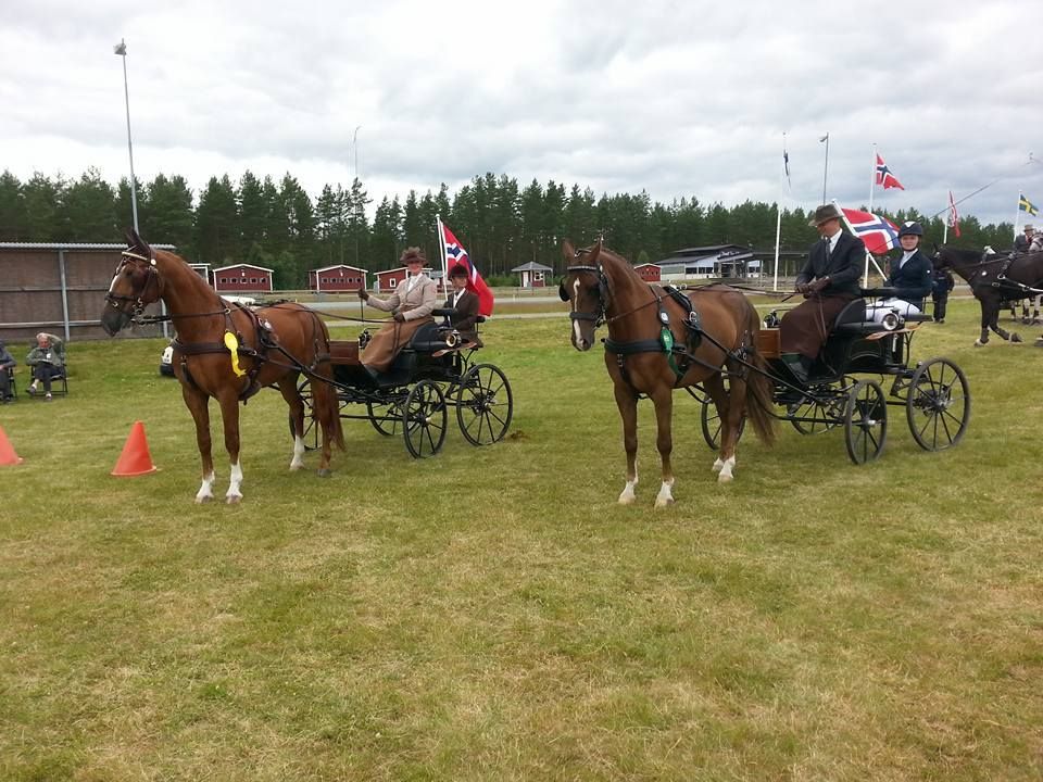  photo NM2_zps5iu1vk7v.jpg