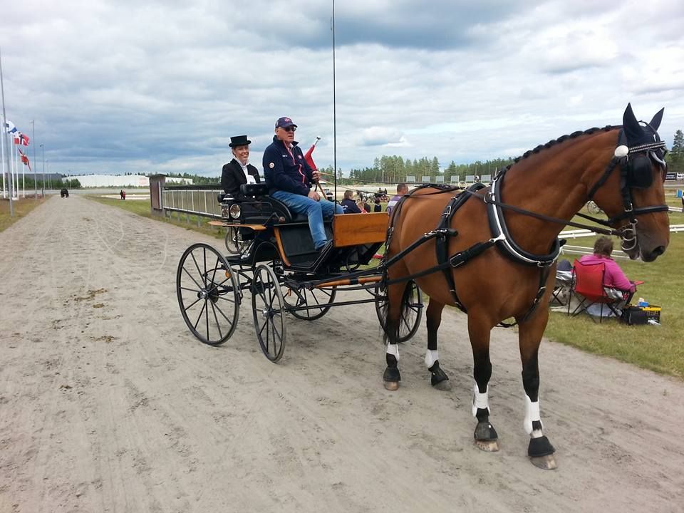  photo NM3_zpshooo0epw.jpg