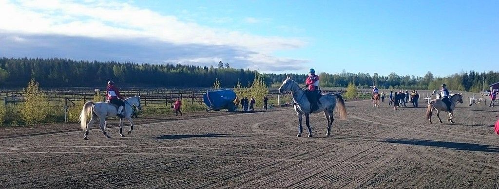  photo Nannestad_zps9dalg0os.jpg