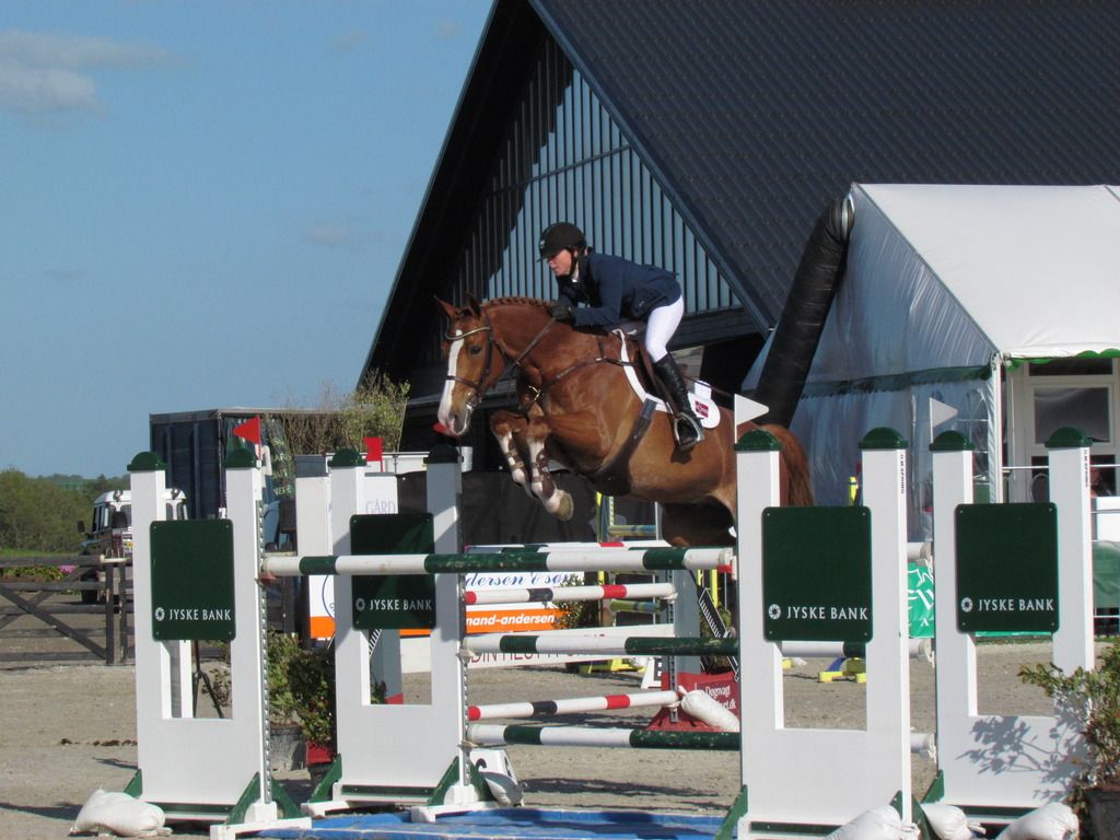 Solveig Fotland Newermann. Foto: Absolute Horses photo Newermann_zpslscnwvg9.jpg