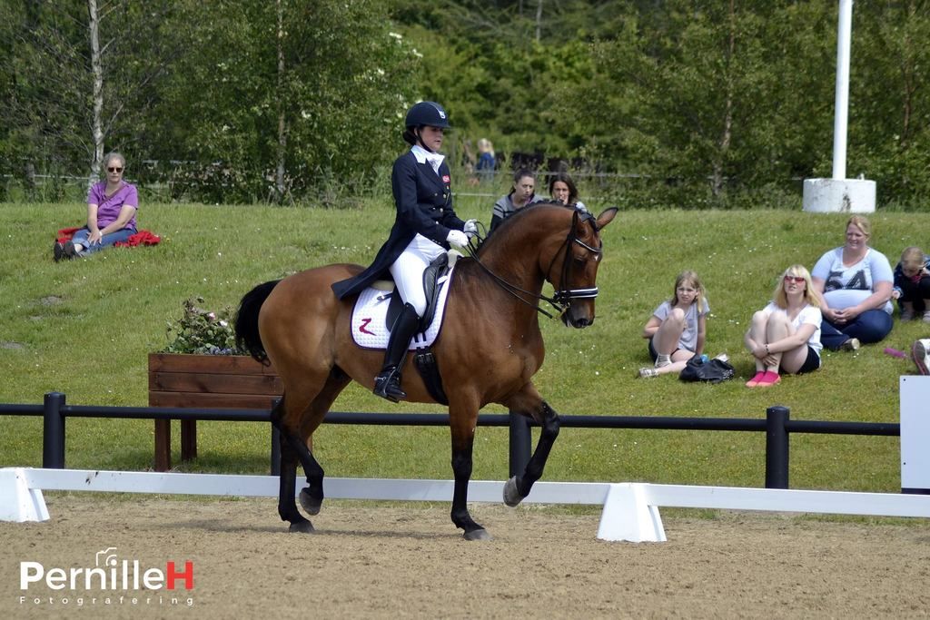  photo 11246558_1008146785863443_2014343327_o_zpsunep9tzz.jpg