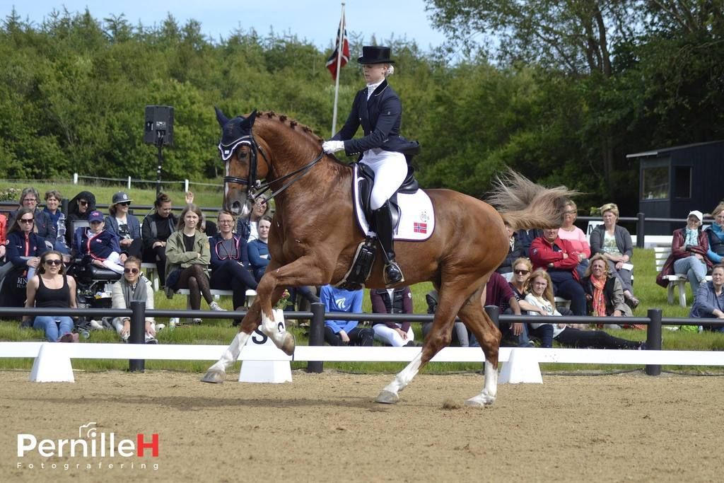  photo 11663951_1008146772530111_671597952_o_zps9lai8o3a.jpg