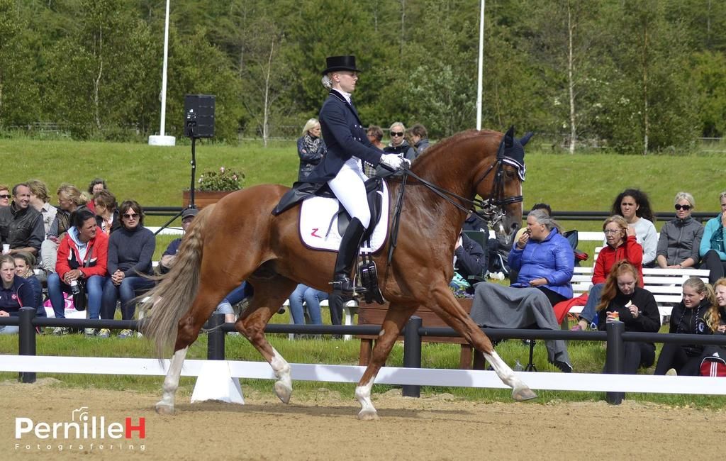  photo 11701256_1008146069196848_201614212_o_zpsenl3w8ie.jpg