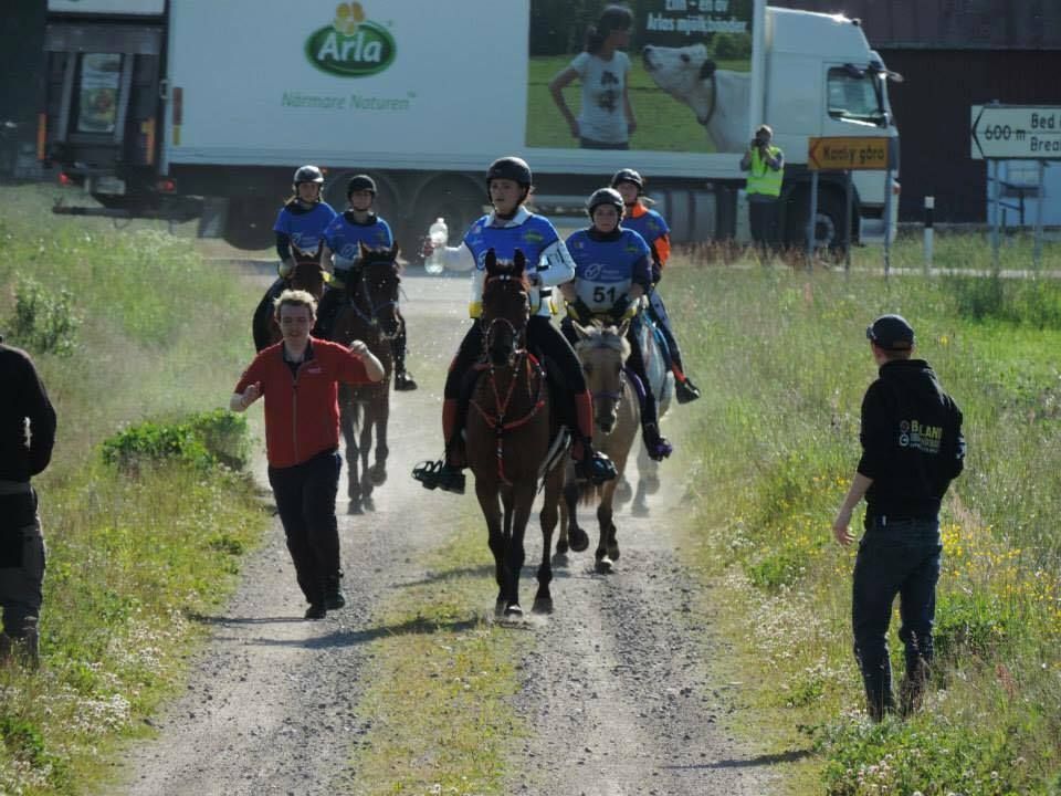  photo Distanse Neset IIIIIII_zps7lu39hku.jpg