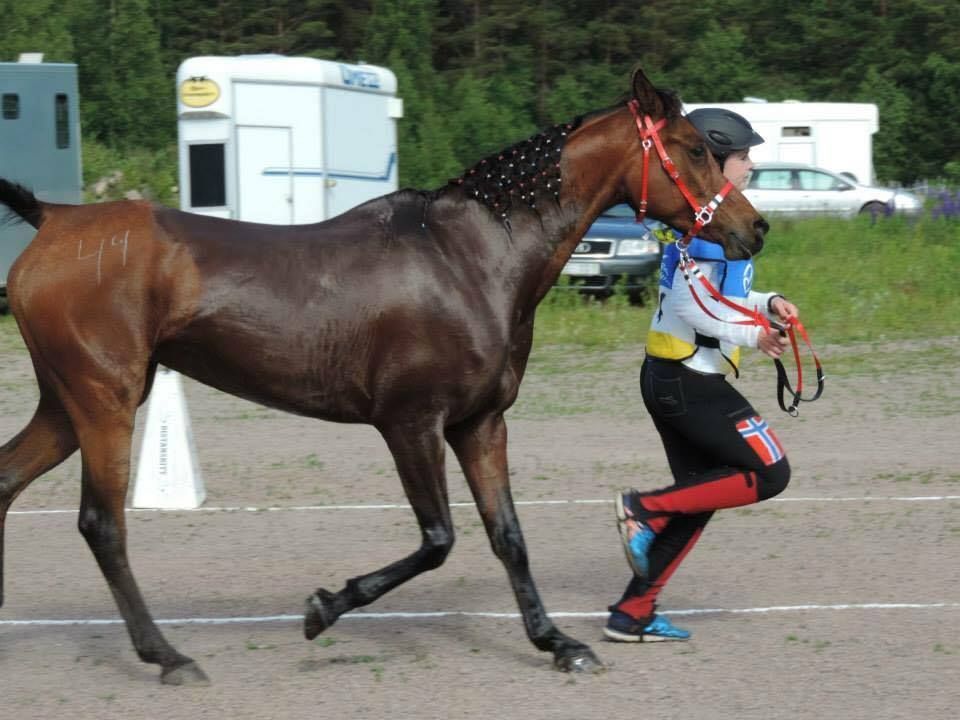  photo Distanse Neset IIII_zpsnlwgyibq.jpg