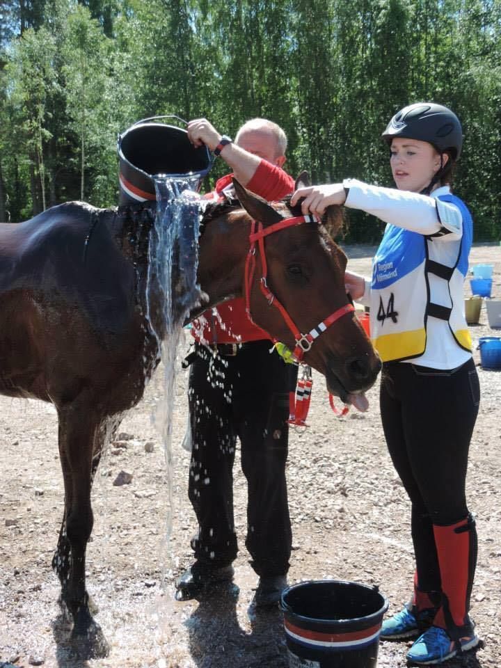  photo Distanse Neset I_zpsw39ijzpl.jpg