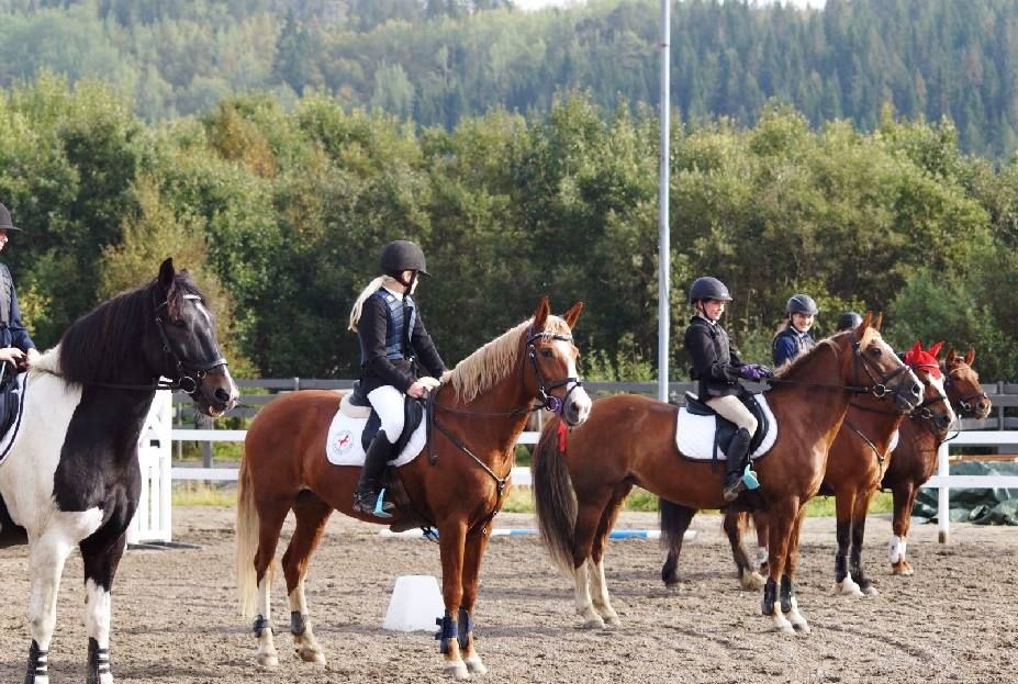 Premieutdeling 70cm CR photo Premieudeling 70cm CR_zpswcdtb3nu.jpg