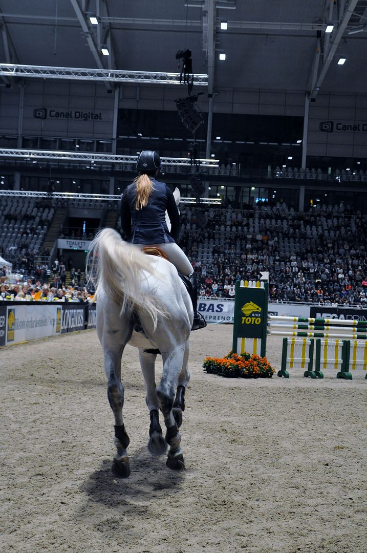  photo DSC_0104_zpsbpr5uygj.jpg