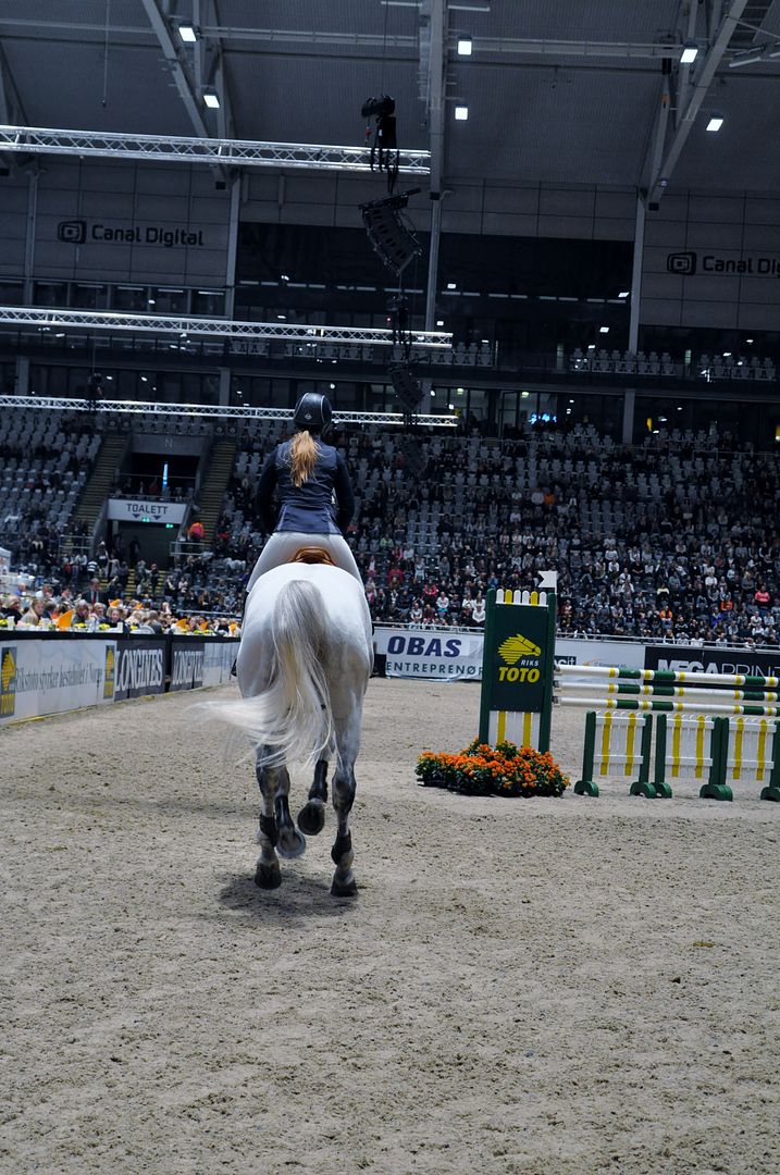 photo DSC_0105_zpsuzmp5djt.jpg