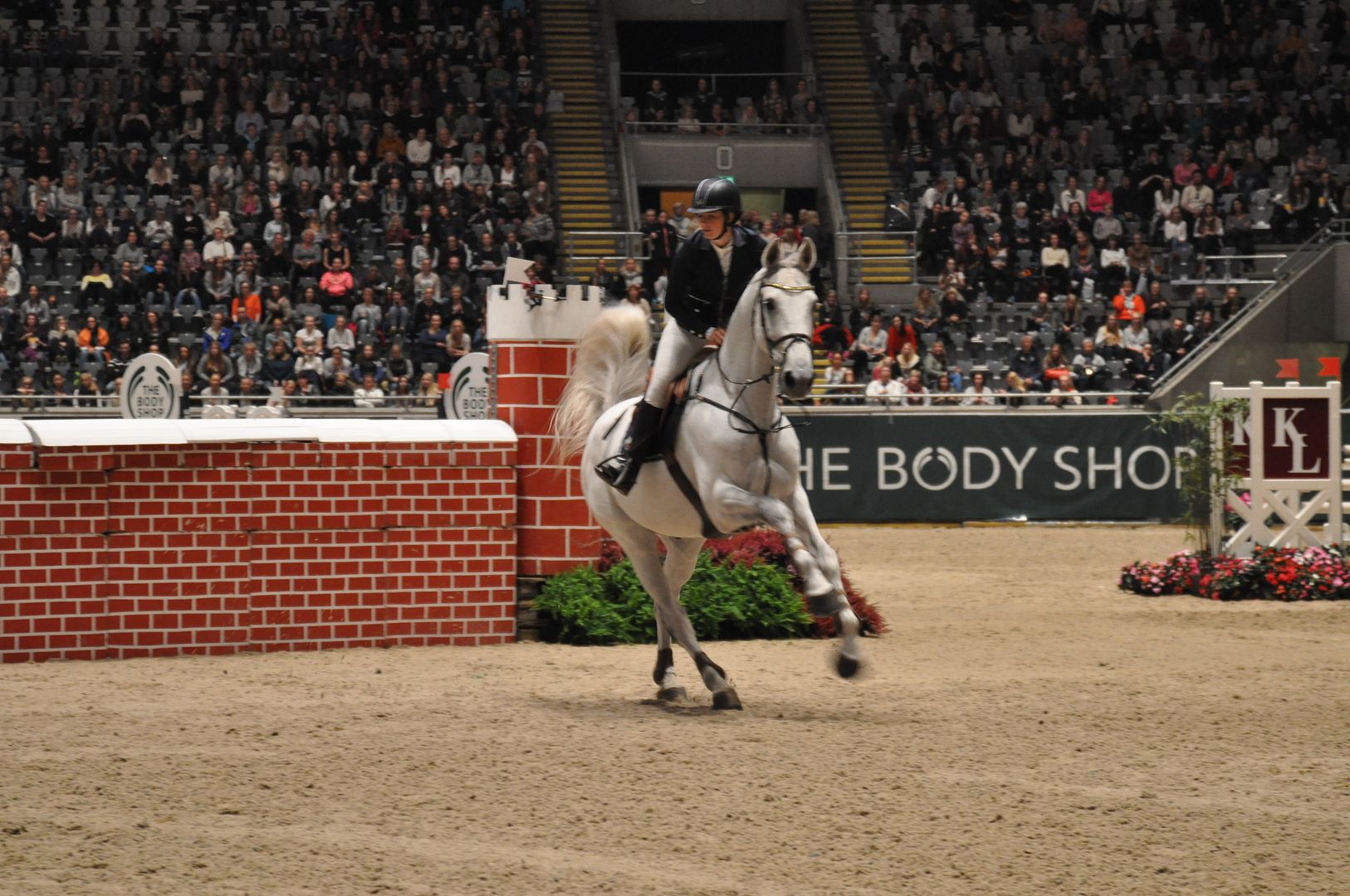  photo DSC_0122_zpsa8albnn5.jpg