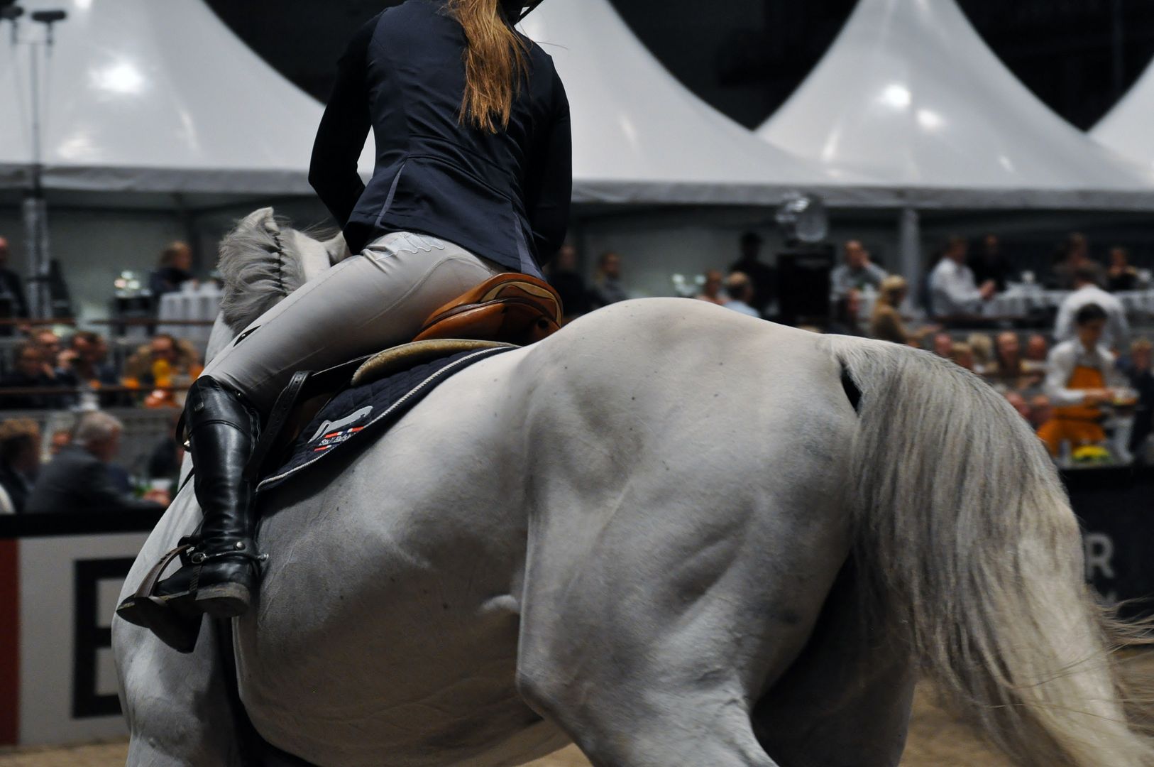  photo DSC_0123_zpsa6rqv685.jpg