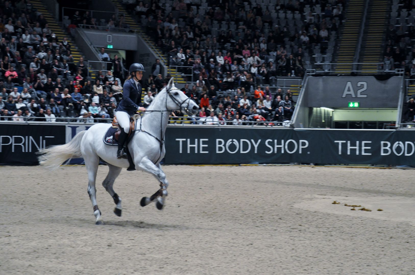 photo DSC_0167_zpsppvbs2d4.jpg