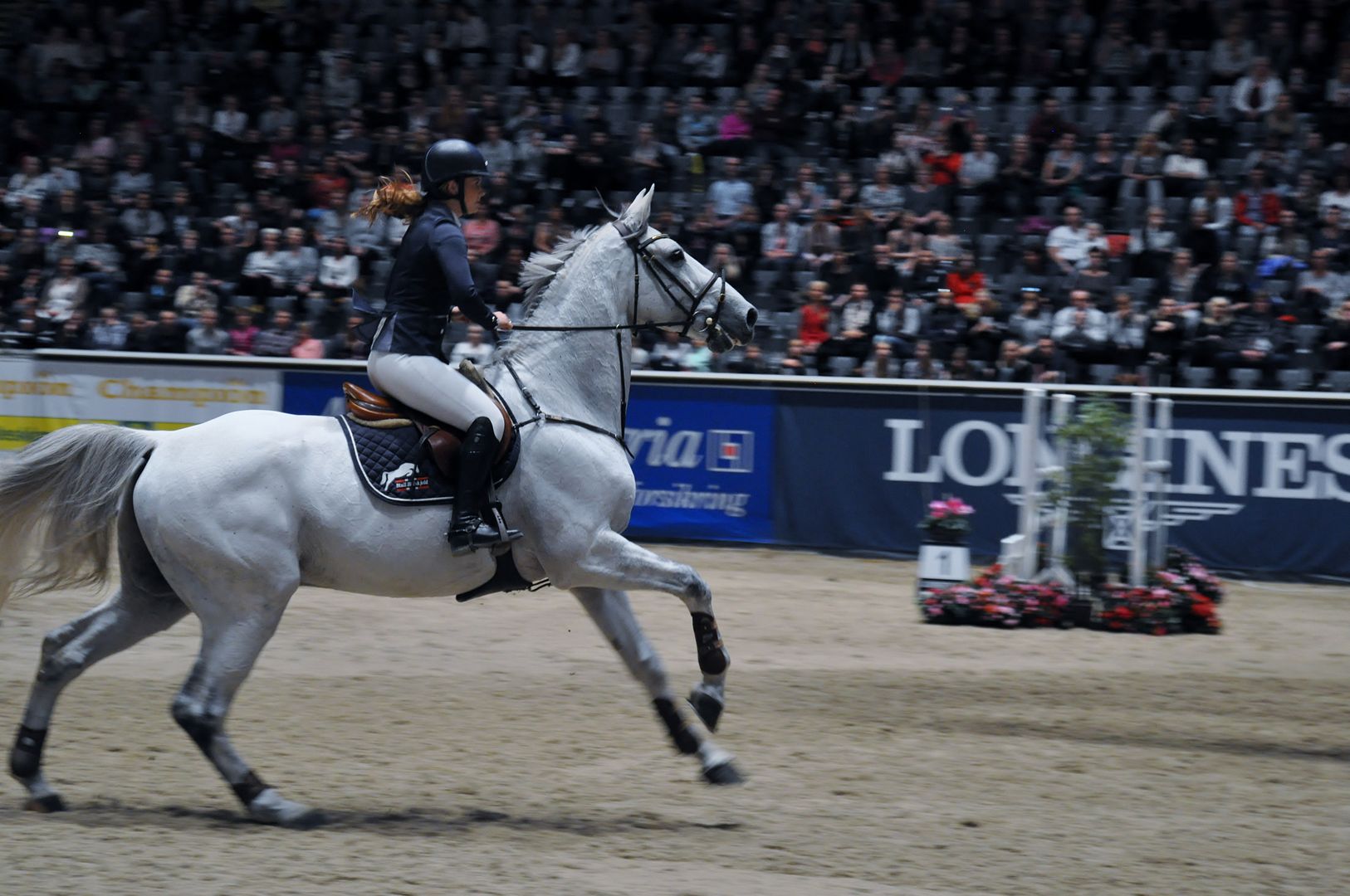 photo DSC_0169_zpsuntk6hn7.jpg