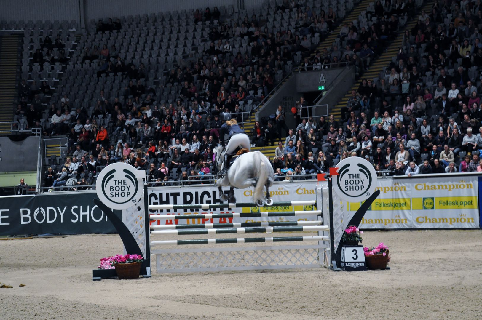  photo DSC_0192_zpsnitipsyc.jpg