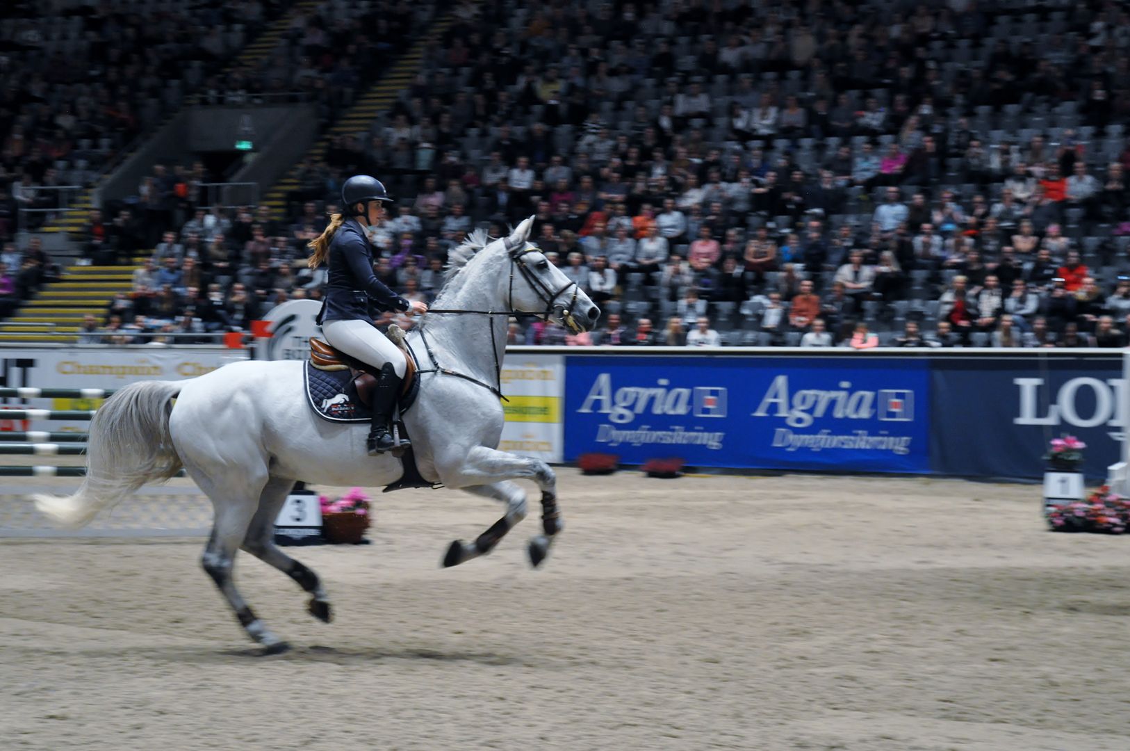  photo DSC_0200_zpsehl8hver.jpg