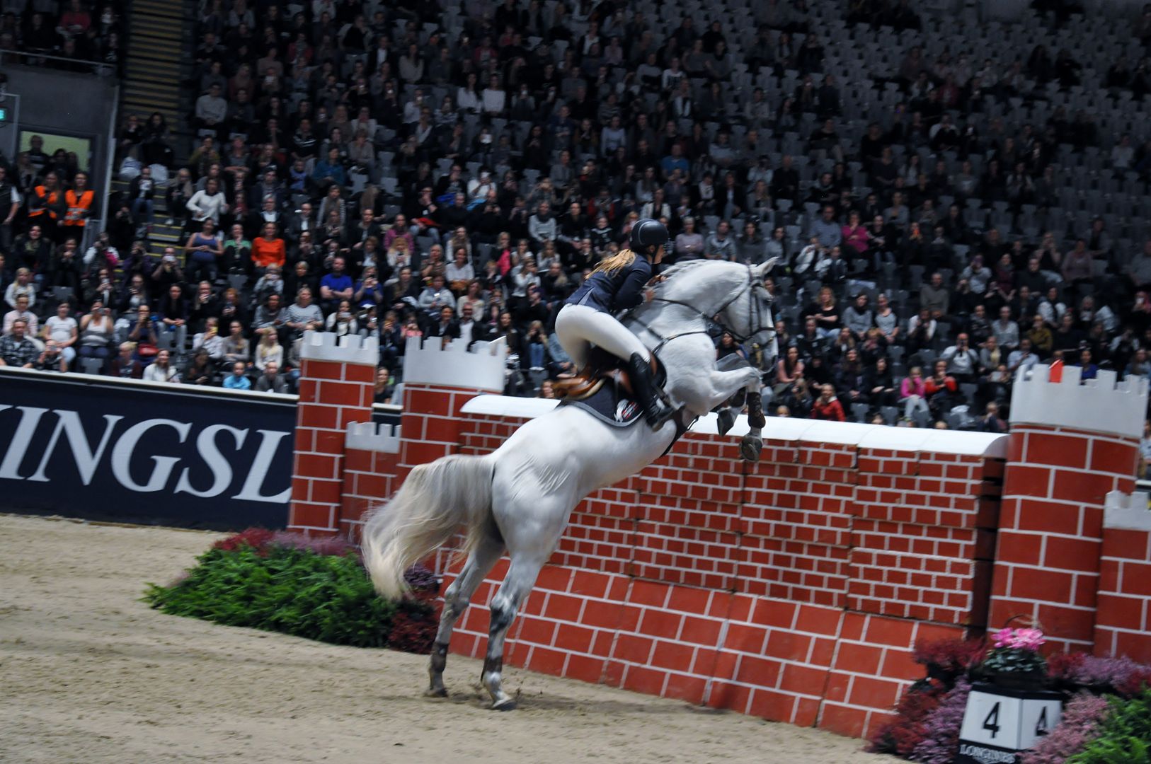  photo DSC_0203_zpszp0qqray.jpg