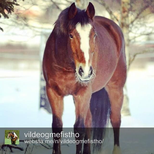  photo Vinner1_zpsf7c223ca.jpg