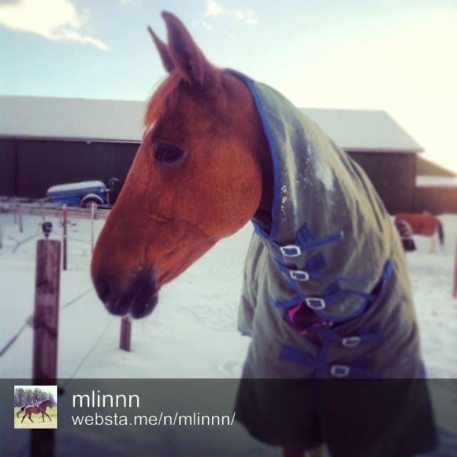  photo Vinner2_zps166fd0ab.jpg