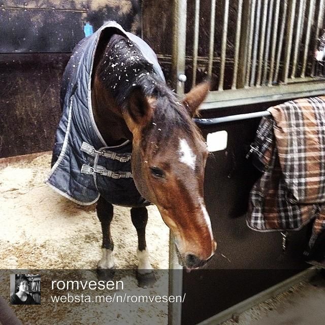  photo Vinner3_zps07dc2fa8.jpg