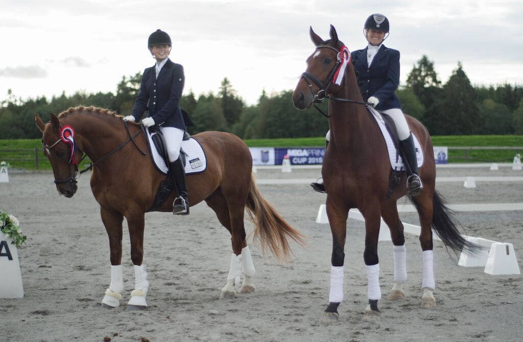 Breedersfinale dressur 2015 Foto: Ida Ruud photo Vinnere_zpsfthahihd.jpg